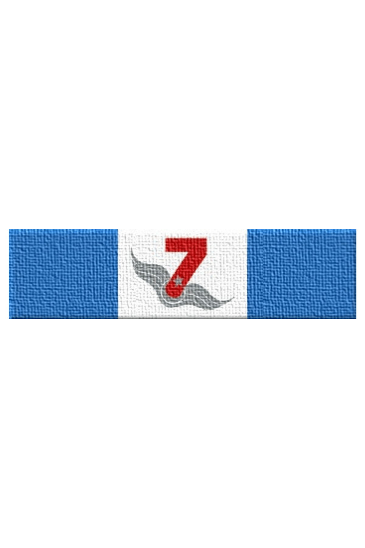 Hava Kuvvetleri ESYE Ehliyet Seviyesi Yukseltme Egitimi Serit Rozet