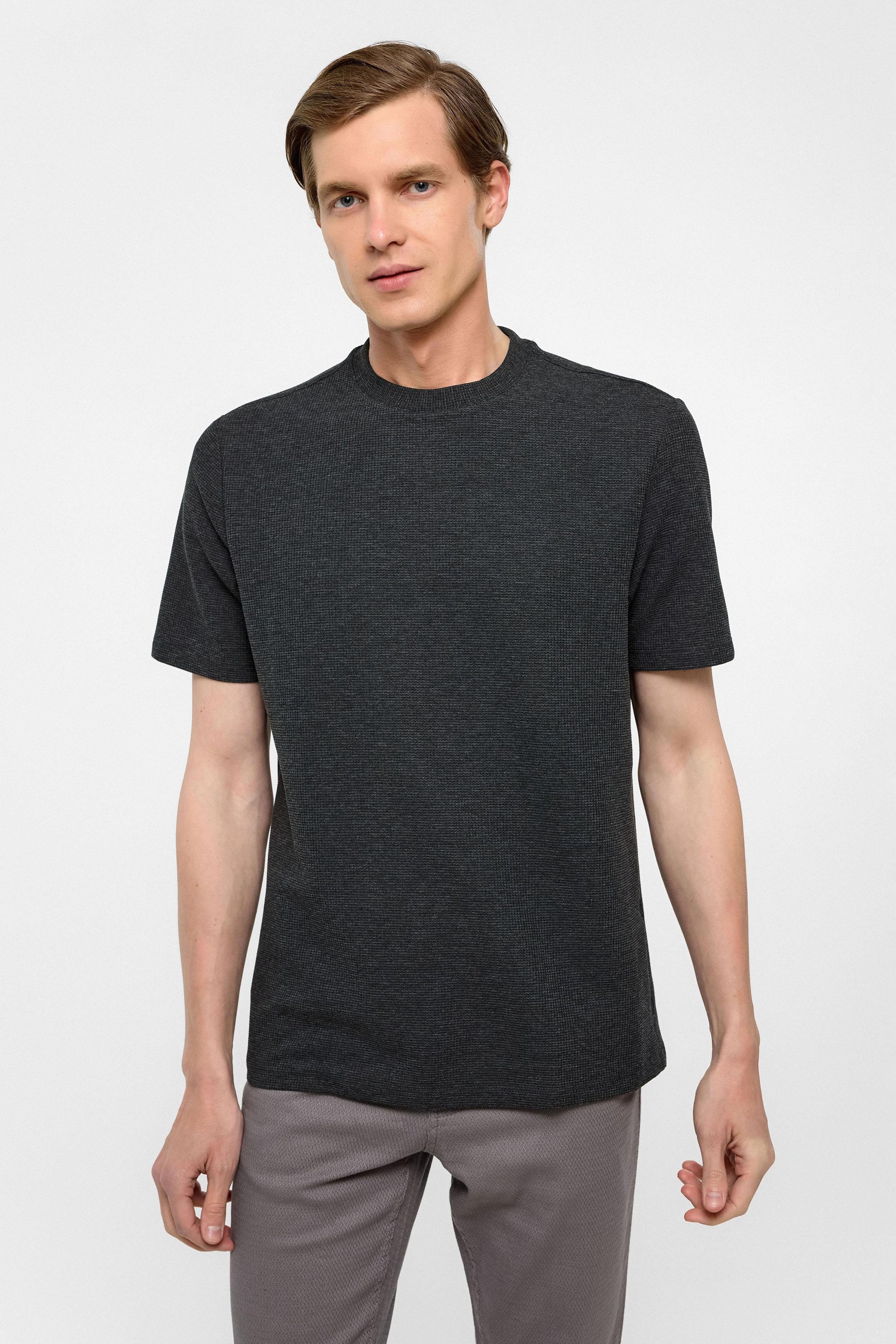 Antrasit Regular Armürlü Bisiklet Yaka Tişört