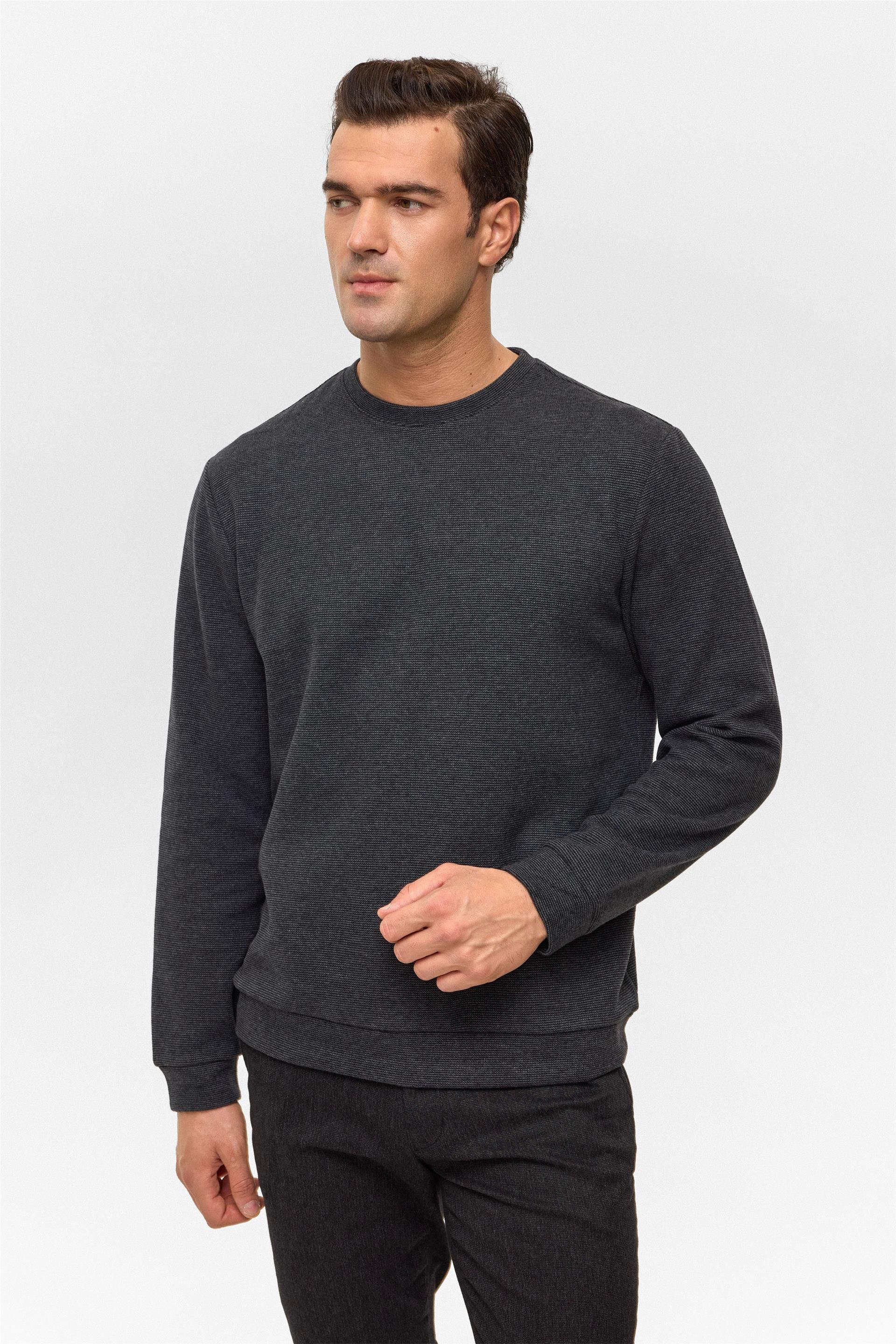 Antrasit Regular Düz Bisiklet Yaka Sweatshirt