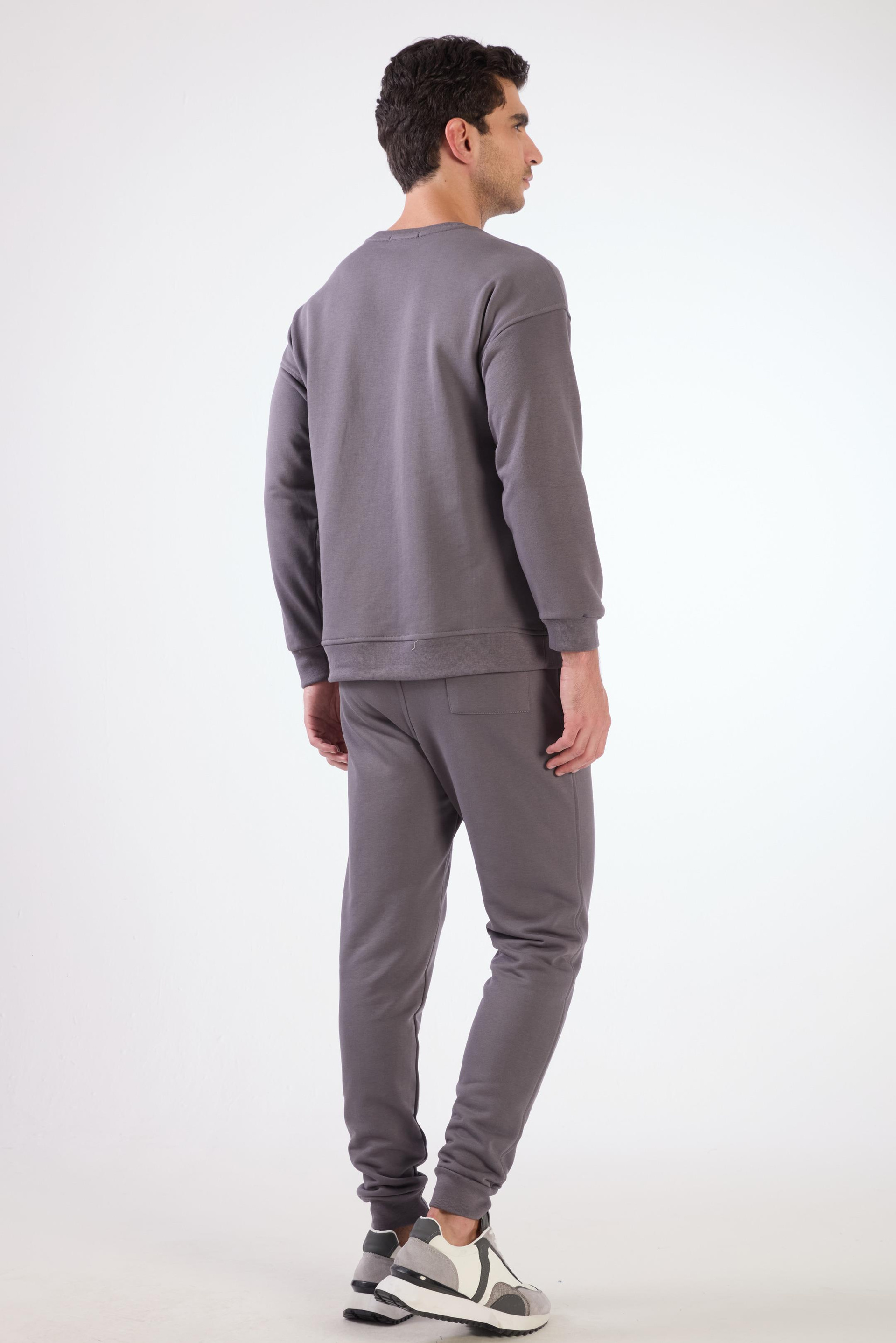 Antrasit    Erkek Sweatshırt - Regular Fit