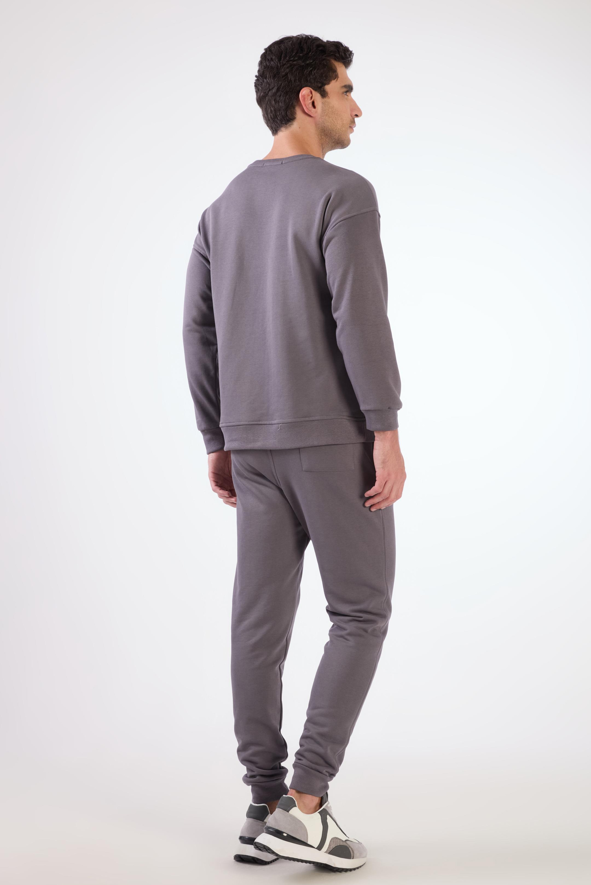 Antrasit    Erkek Sweatshırt - Regular Fit