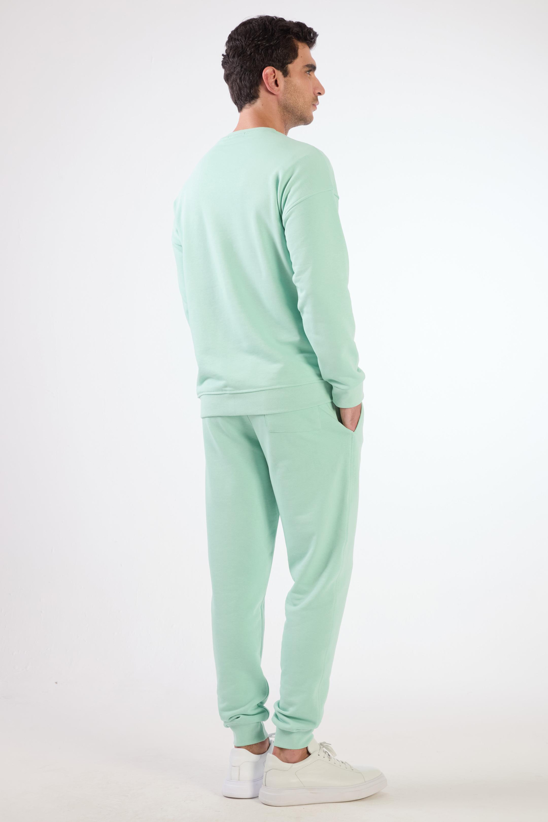 Mint Yeşili    Erkek Sweatshırt - Regular Fit