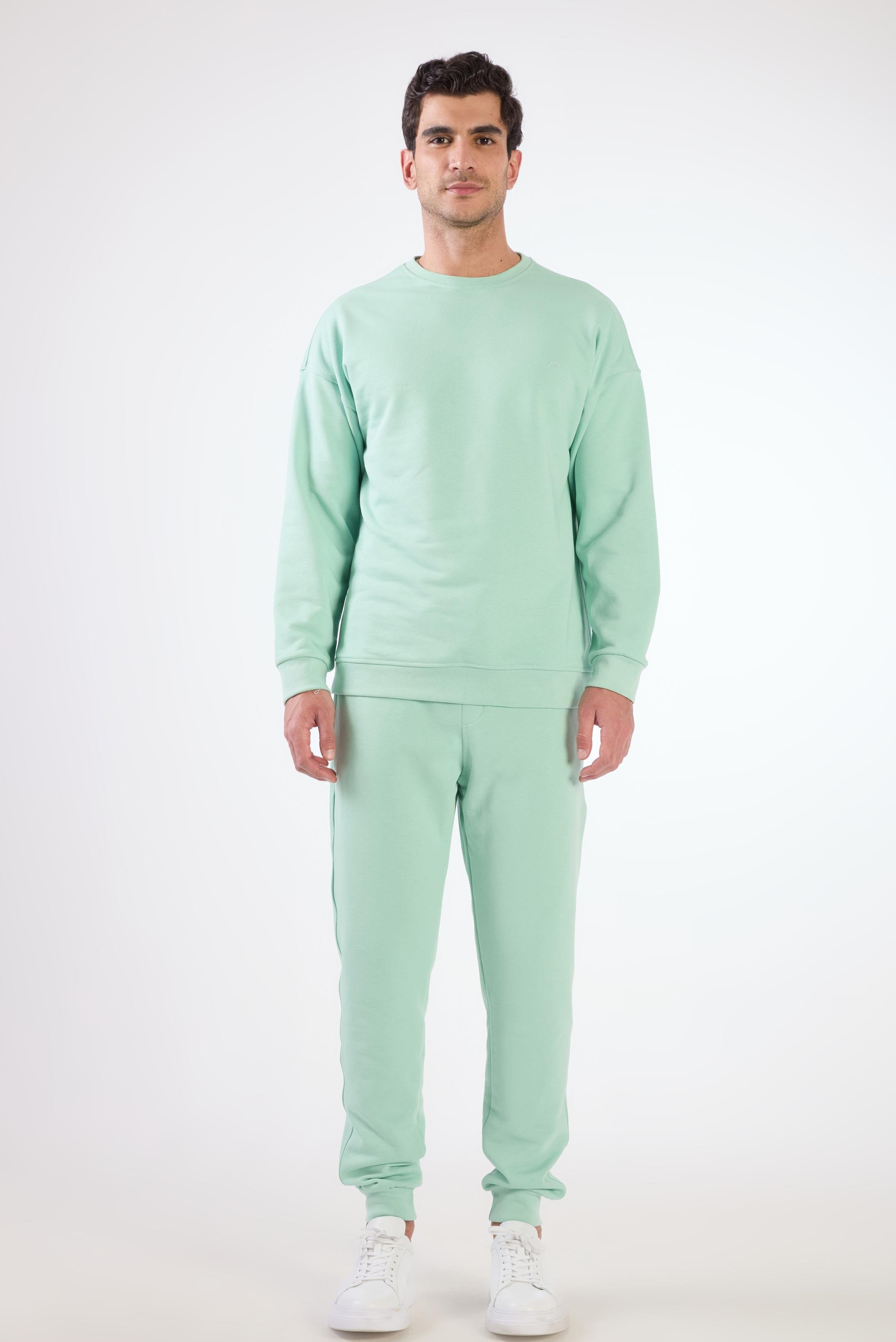 Mint Yeşili    Erkek Sweatshırt - Regular Fit