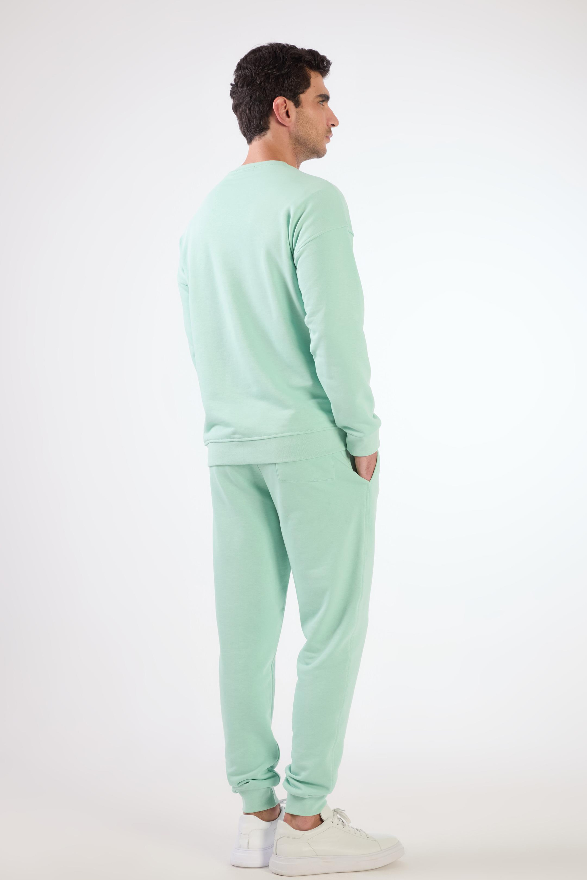Mint Yeşili    Erkek Sweatshırt - Regular Fit