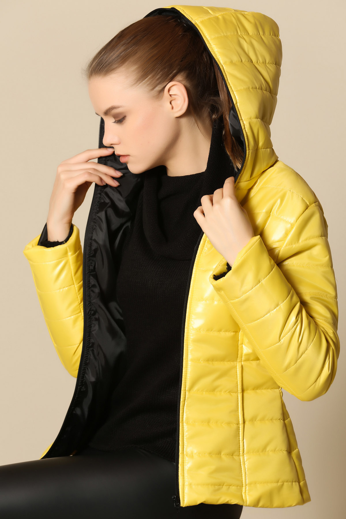 102-5842 ŞİŞME MONT