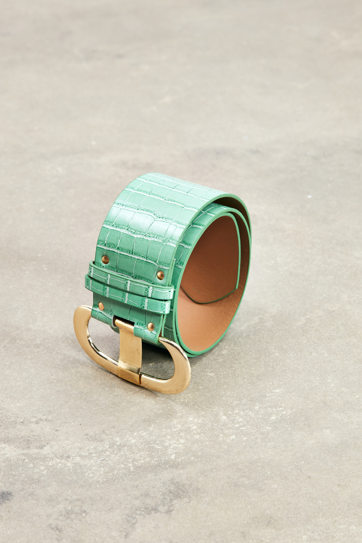 Wide Belt with Gold Buckle - MINT