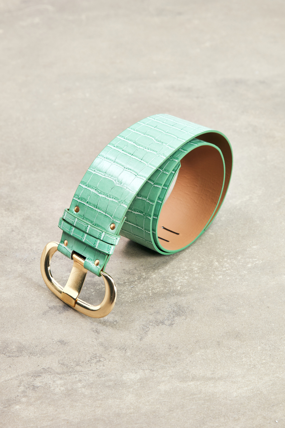 Wide Belt with Gold Buckle - MINT