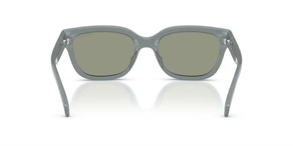 Armani Exchange 0AX4155SU 8375/2 54 Enjeksiyon Kadın Güneş Gözlüğü