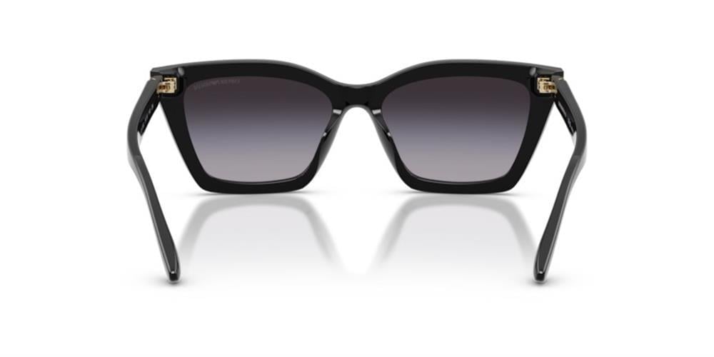 Emporio Armani 0EA4250U 50178G 54 Asetat Kadın Güneş Gözlüğü