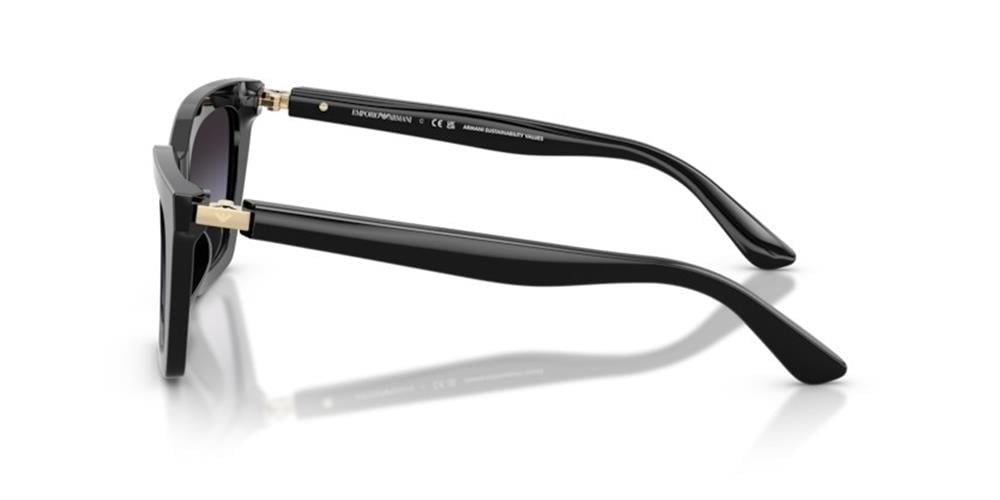 Emporio Armani 0EA4250U 50178G 54 Asetat Kadın Güneş Gözlüğü