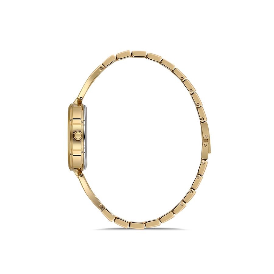 Dice Kayek DK.1.AG1414.06 Klasik Kadın Kol Saati