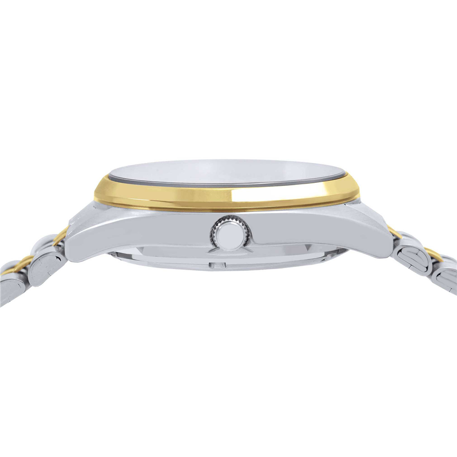 Lorus Klasik RL432CX9 Erkek Otomatik Kol Saati