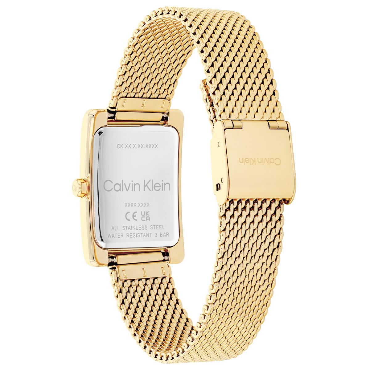 Calvin Klein CK25200396 Kadın Kol Saati