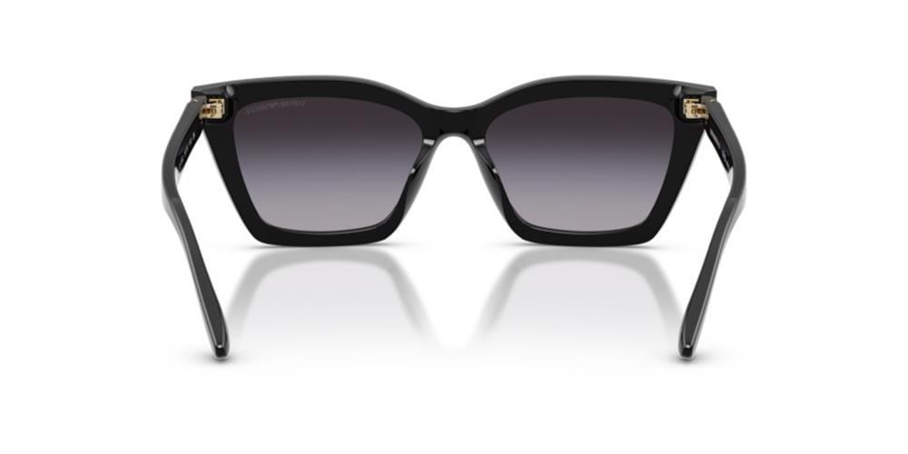 Emporio Armani 0EA4250U 50178G 54 Asetat Kadın Güneş Gözlüğü