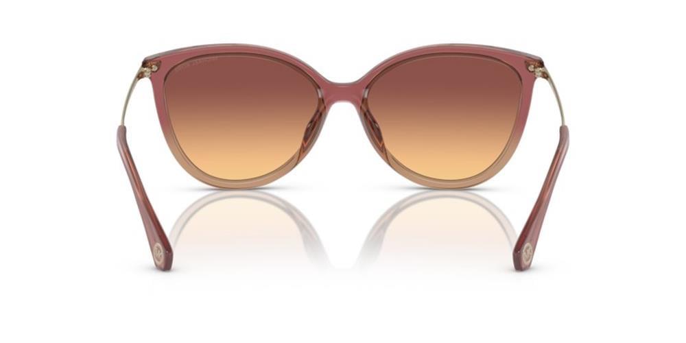 Michael Kors MK2184U 325678 58 Kadın Güneş Gözlüğü