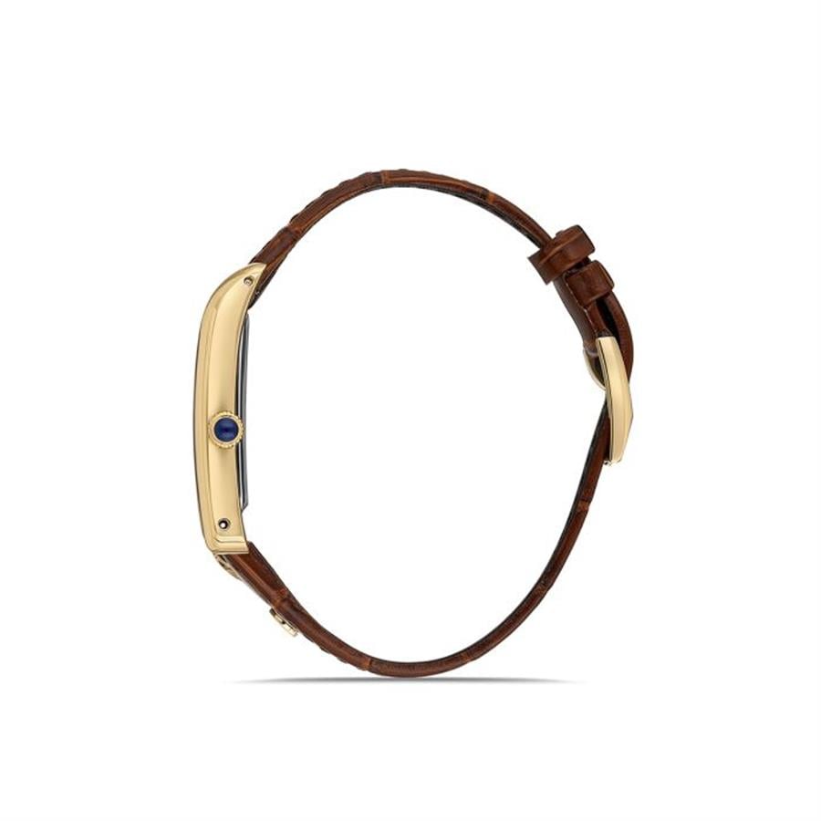 MOMENTUS CM365G-02KG