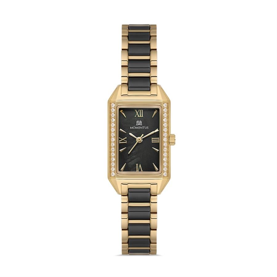 MOMENTUS SS273T-04SG