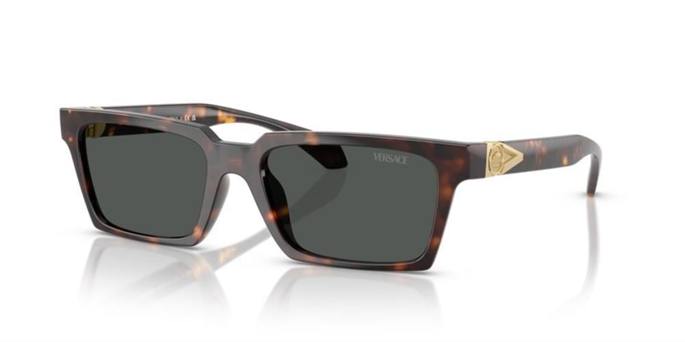 Versace 0VE4490U 108/87 55 Enjeksiyon Erkek Güneş Gözlüğü