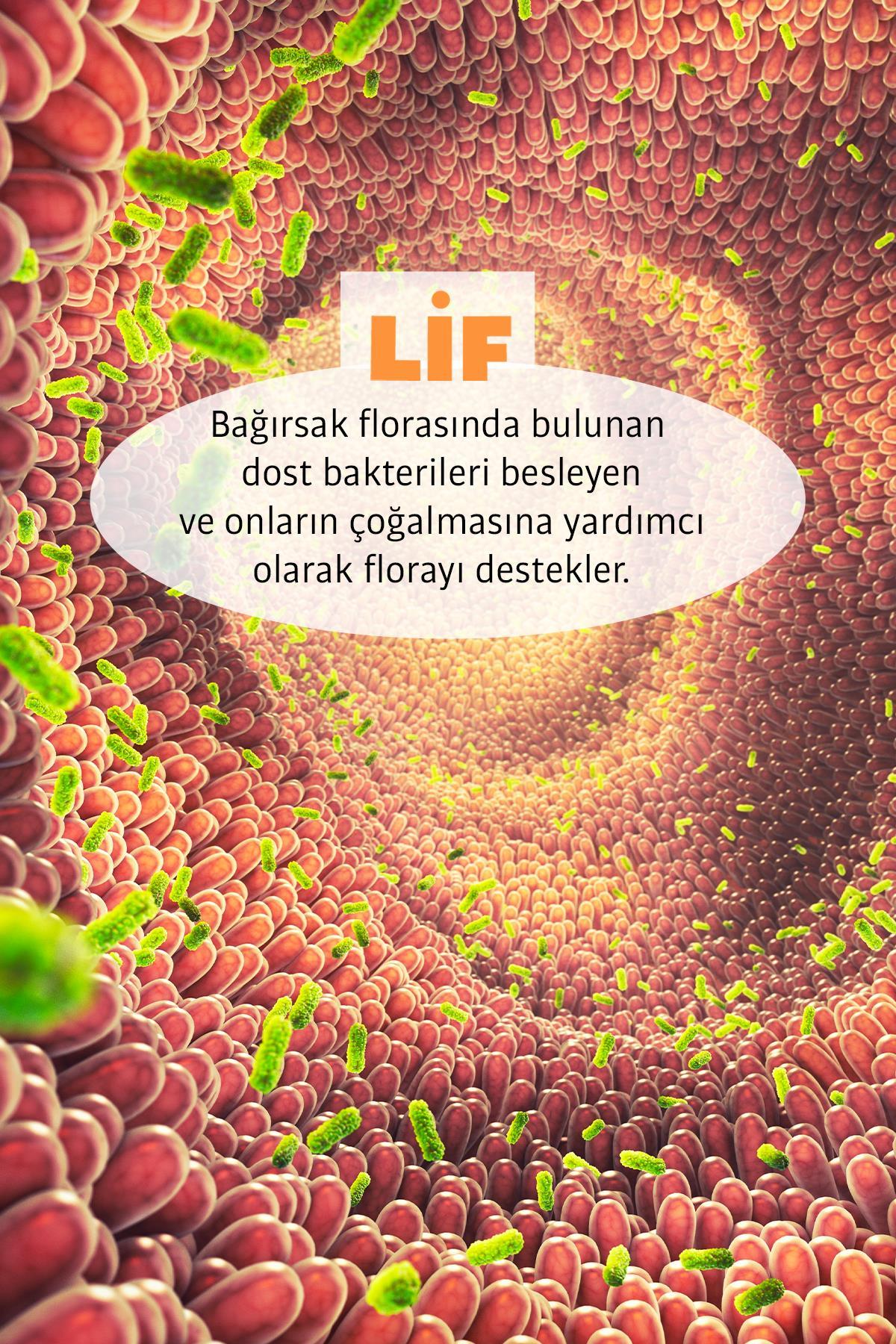 Erbatab Fiber Komplex Prebiyotik 250 GR