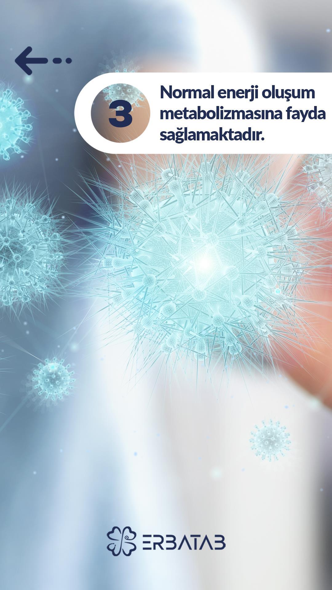 Erbatab Thyrobex Multivitamin 60 Kapsül
