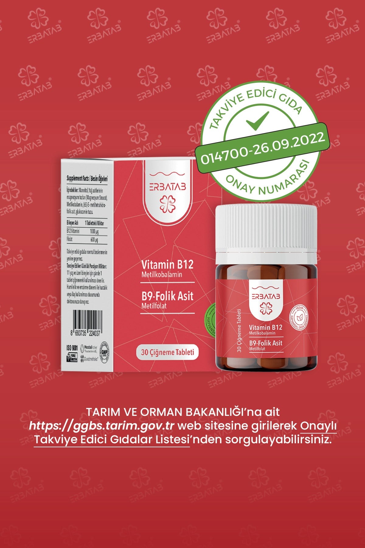 Erbatab Vitamin B12- Folik Asit B9-Metilkobalamin- Metilfolat