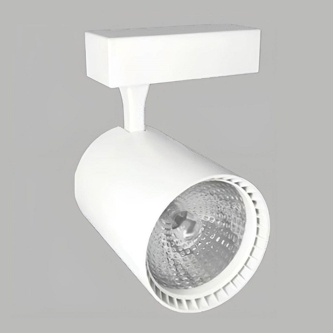 YRS-3005 30W Alüminyum Gövde Led Ray Spot