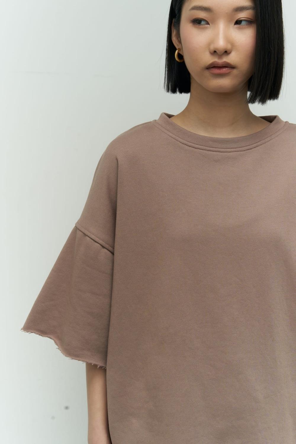 Lion Yırtıklı Boz Oversize T-shirt Eşofman Takım