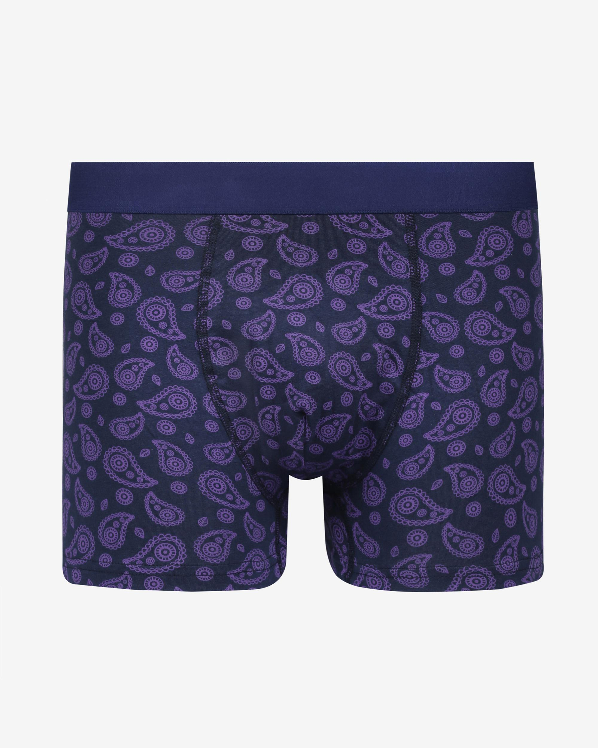 Renkli Erkek Boxer Paisley