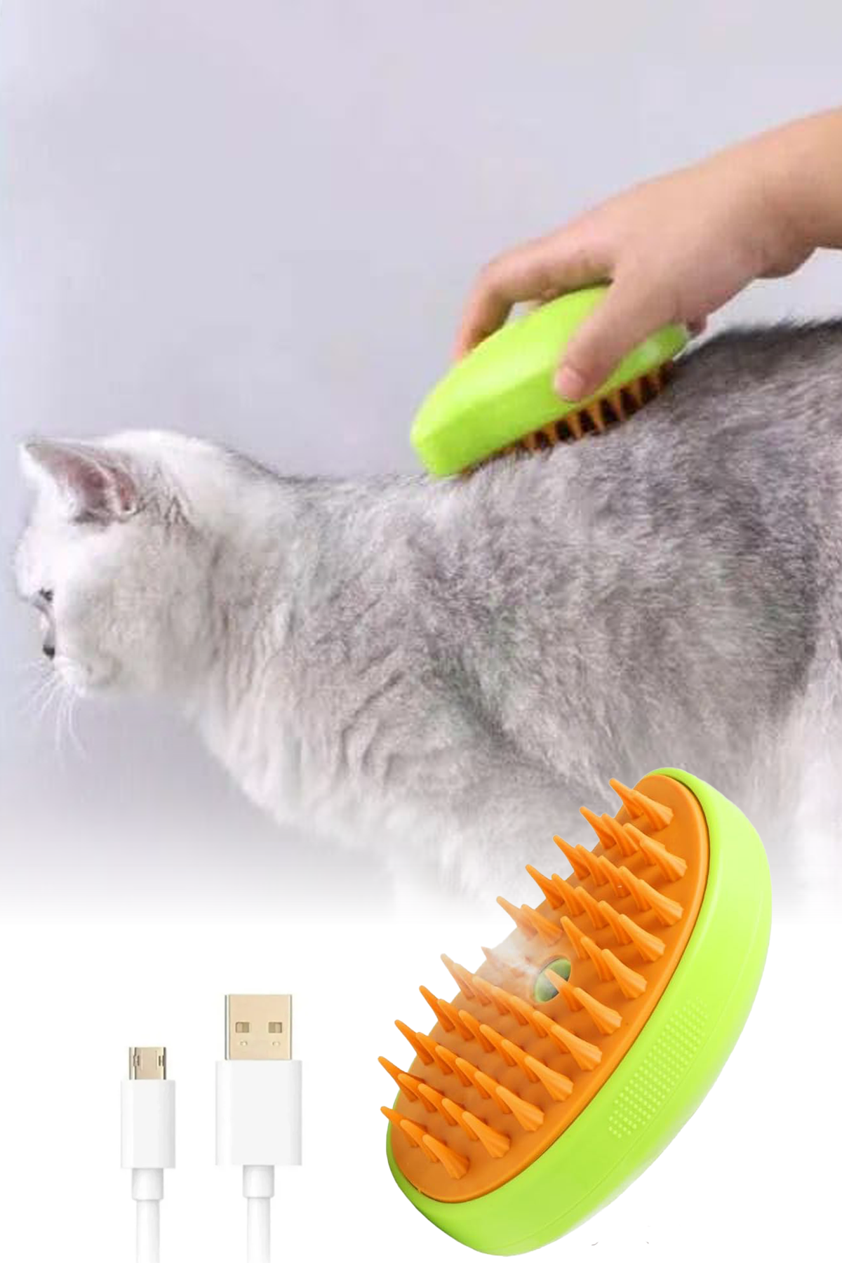 BUHARLI KEDI TARAGIII