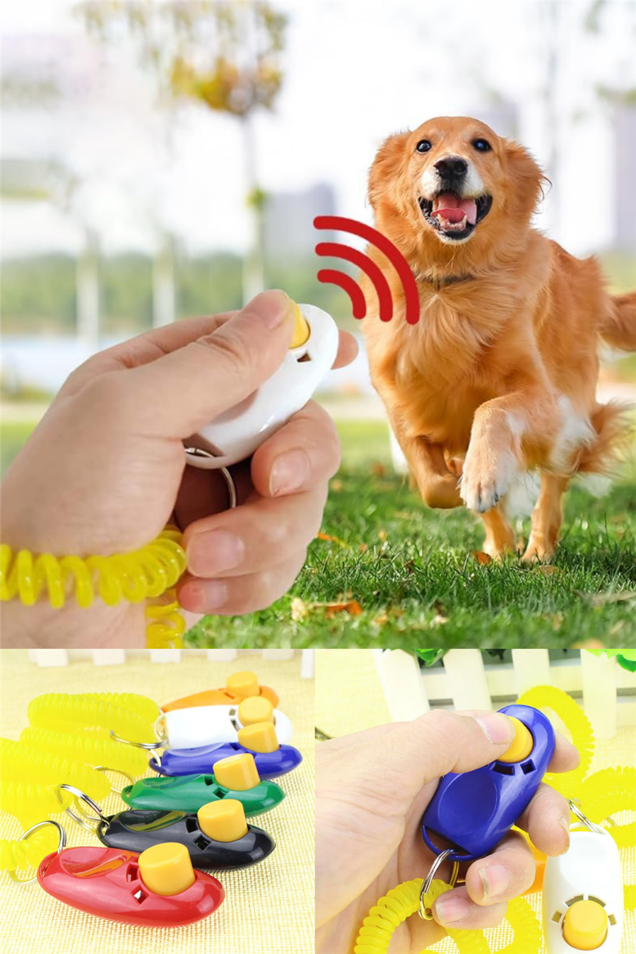 Köpek Eğitim Aleti