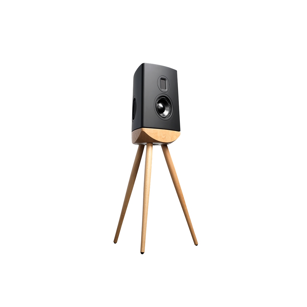 Lyngdorf Cue-100 Bookshelf Hoparlörler Siyah Kabin Meşe Taban Çift