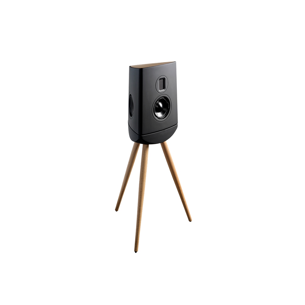 Lyngdorf Cue-100 Bookshelf Hoparlörler Siyah Kabin Siyah Taban Çift