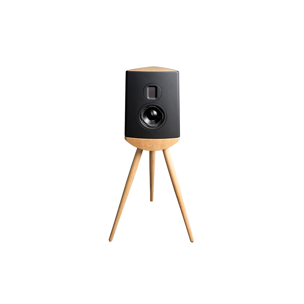 Lyngdorf Cue-100 Bookshelf Hoparlörler Siyah Kabin Meşe Taban Çift