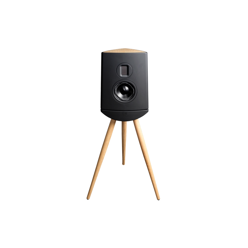 Lyngdorf Cue-100 Bookshelf Hoparlörler Siyah Kabin Siyah Taban Çift