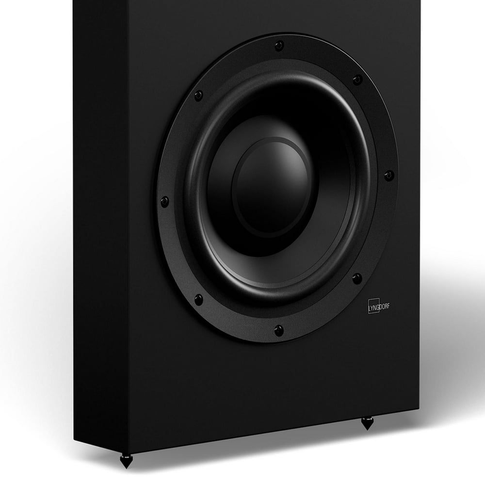 Lyngdorf DW-1 10