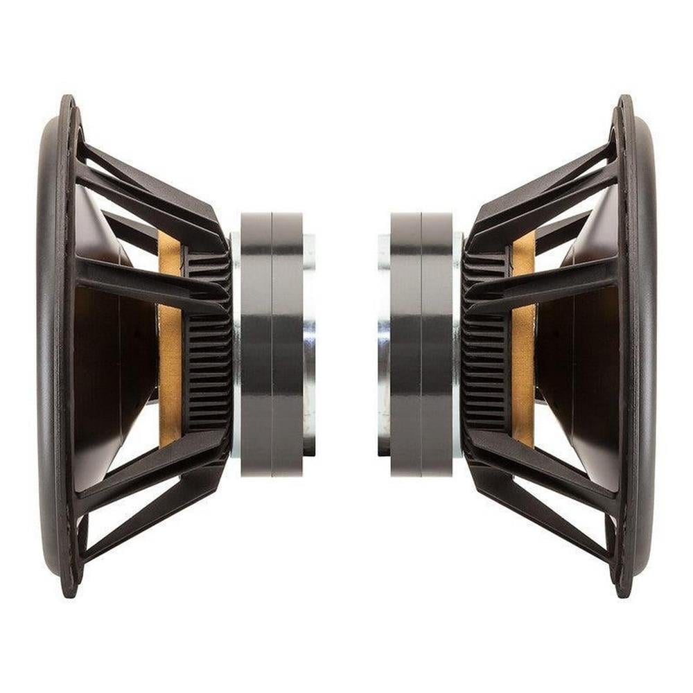 MartinLogan BalancedForce 210  10