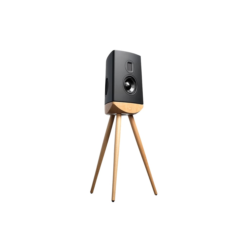 Lyngdorf Cue-100 Bookshelf Hoparlörler Siyah Kabin Meşe Taban Çift