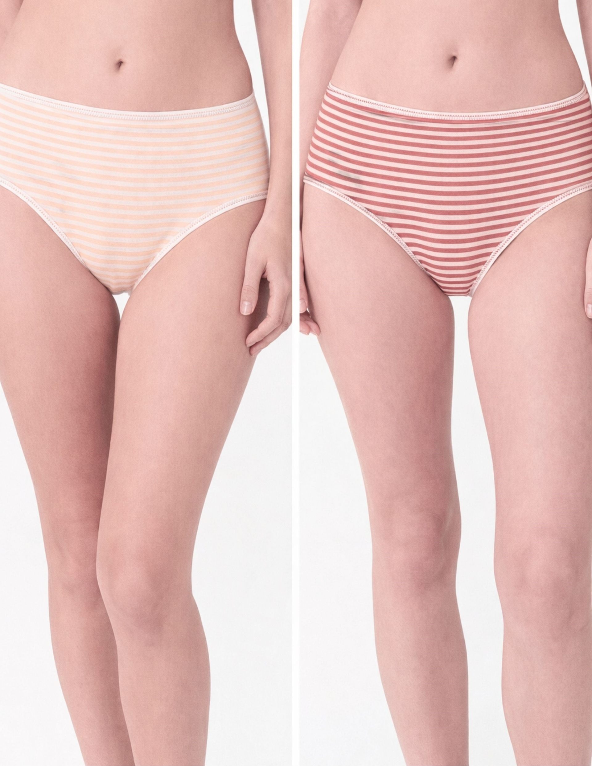 Terra Kadın Slip Külot 2'li Set