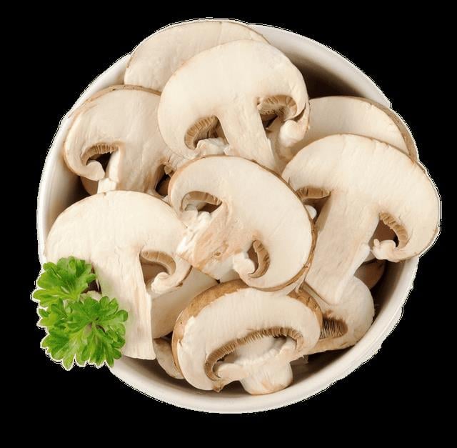 Efe Pastacılık Ersan Dilimli Mantar Konserve