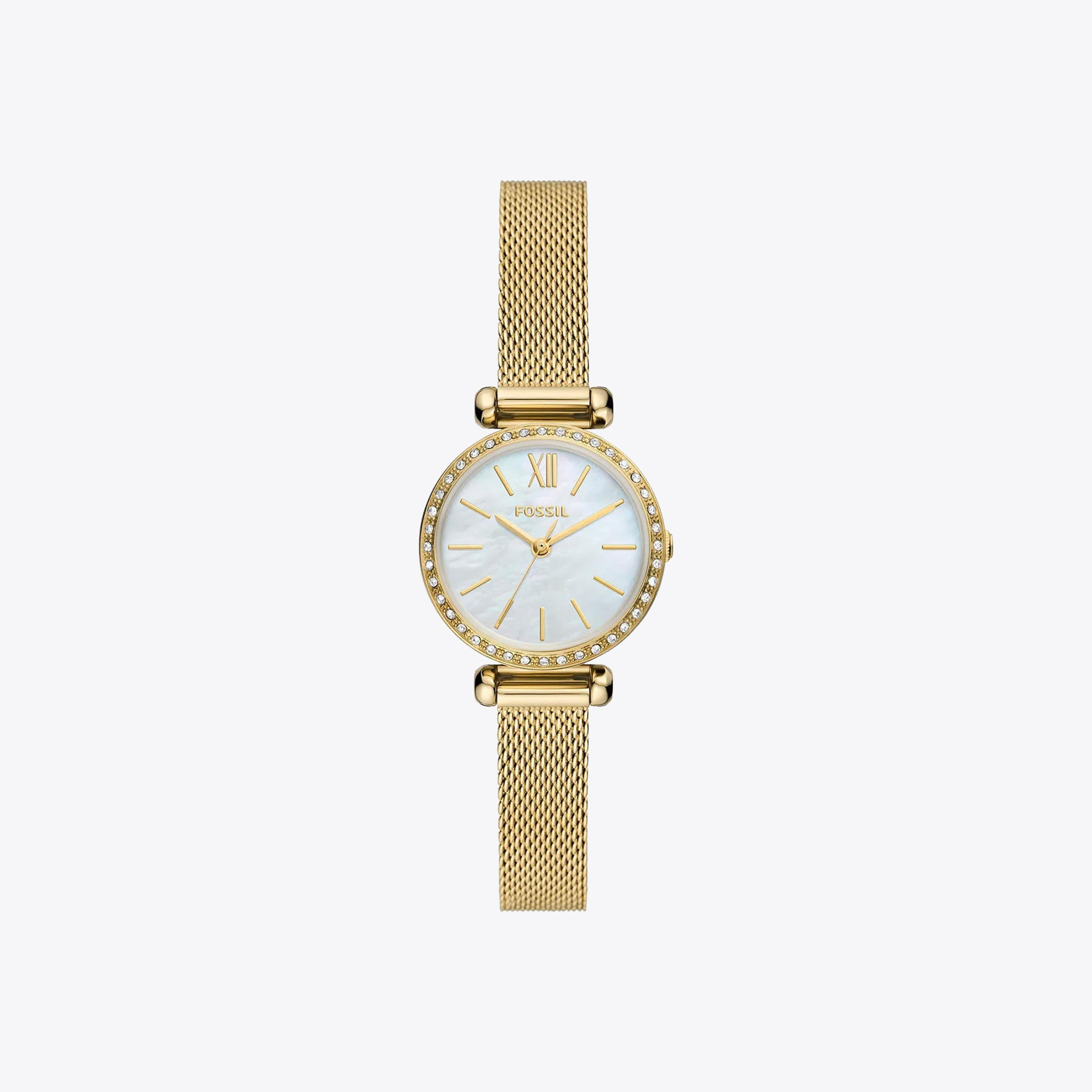 Fossil Saat