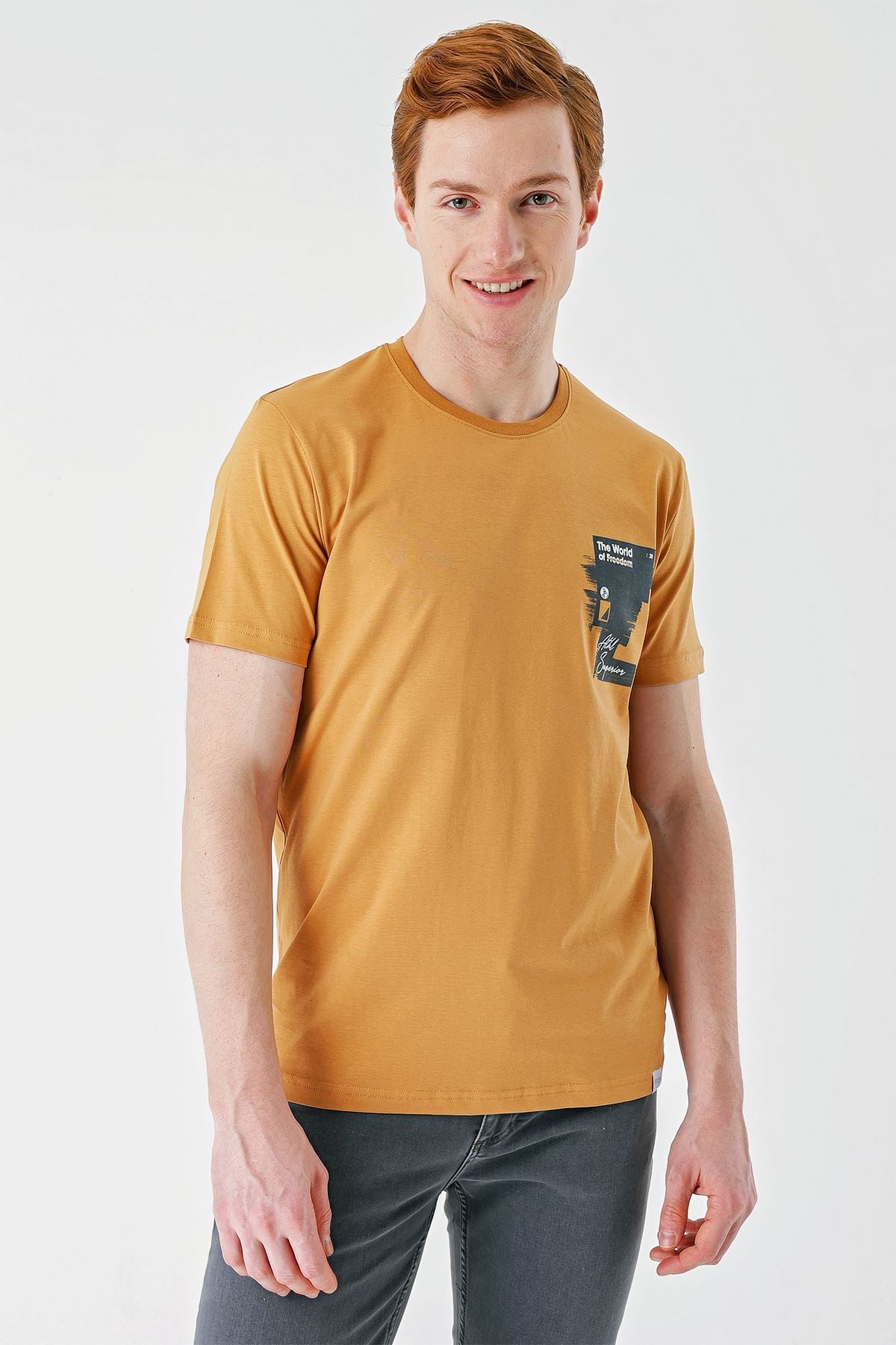 Baskılı Bisiklet Yaka Casual Slim Fit Tişört 1011240166