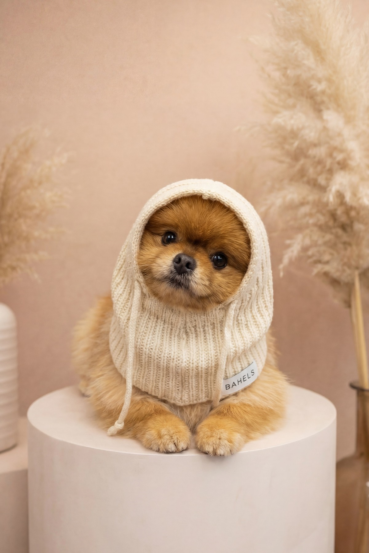 Dog Triko Örgü Balaclava Bere Şapka