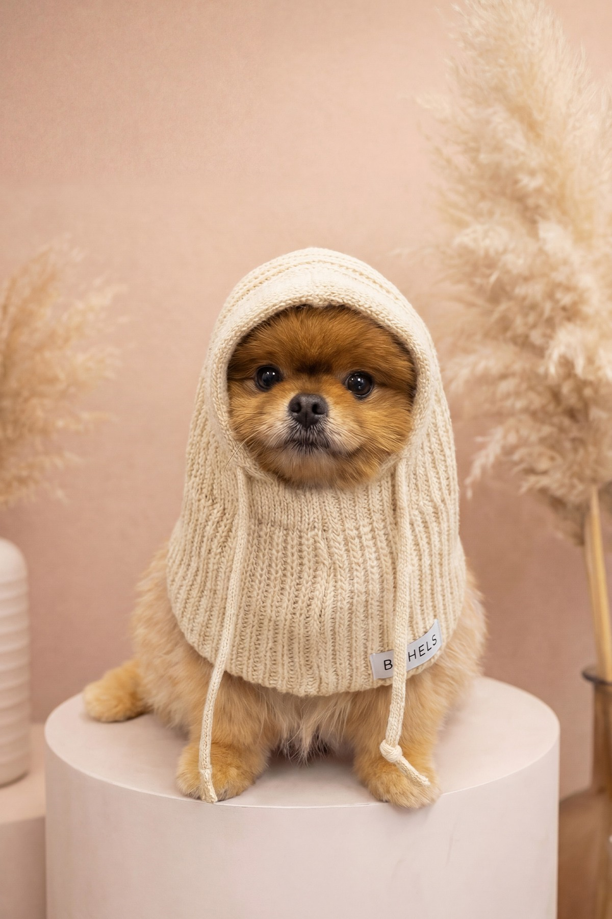 Dog Triko Örgü Balaclava Bere Şapka