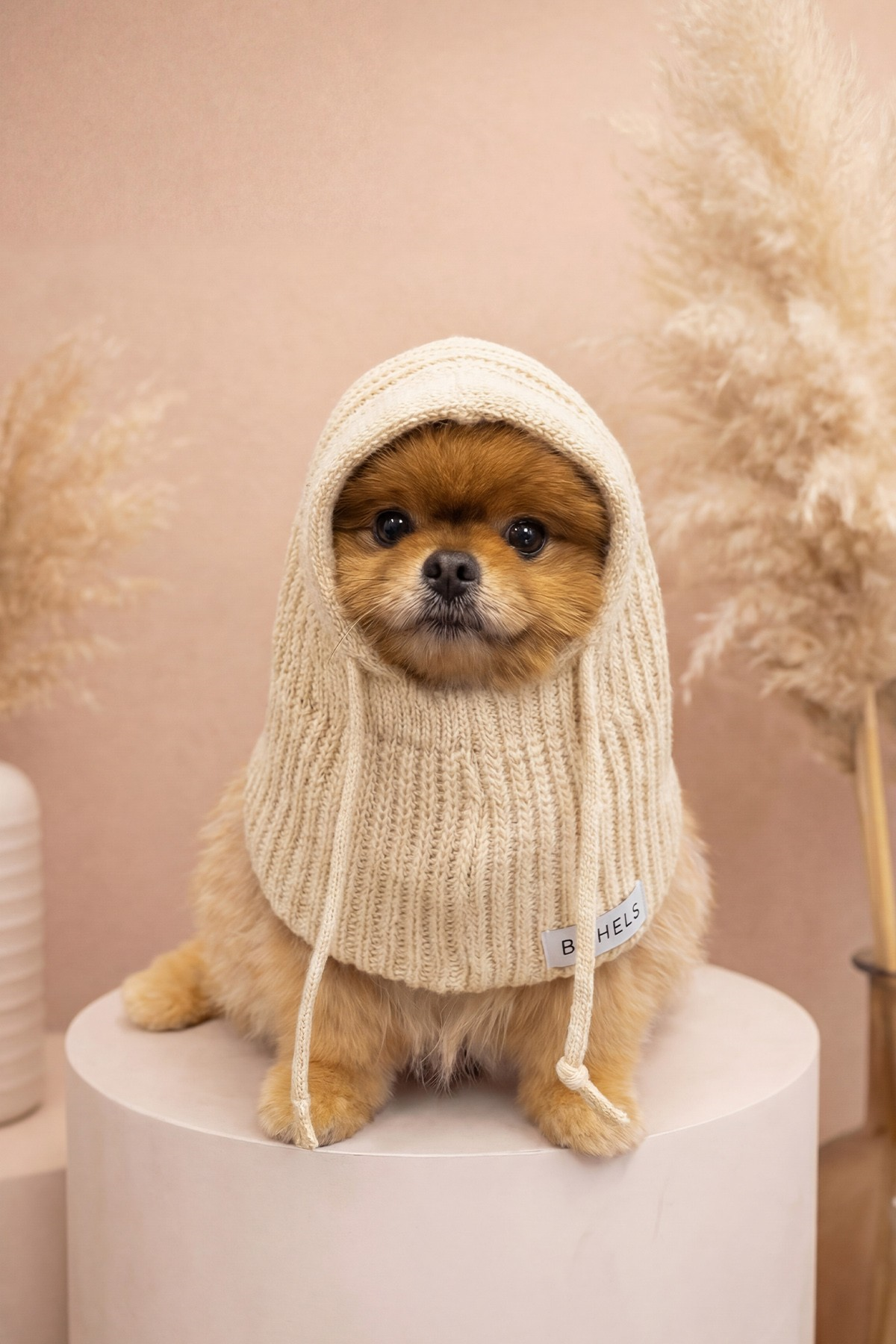 Dog Triko Örgü Balaclava Bere Şapka