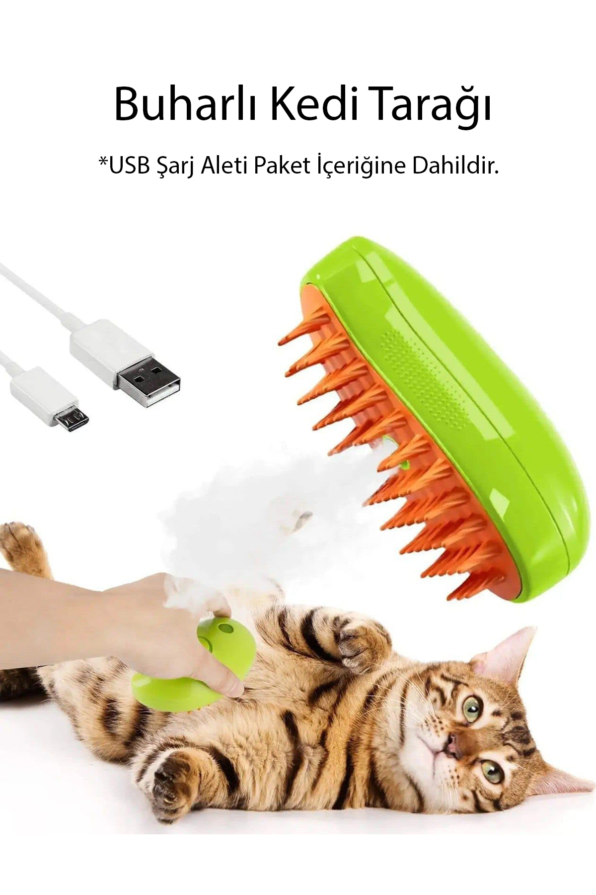 BUHARLI KEDI TARAGIII