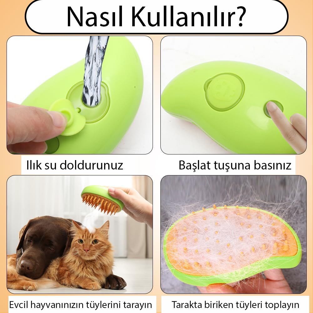 BUHARLI KEDI TARAGIII