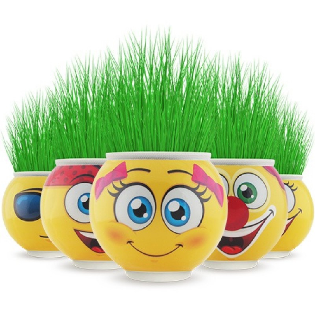 Çim Adam Orijinal 1 Adet Lisanslı Eğlenceli Sevimli Ürün Emojili Çimoji Oyuncaklar