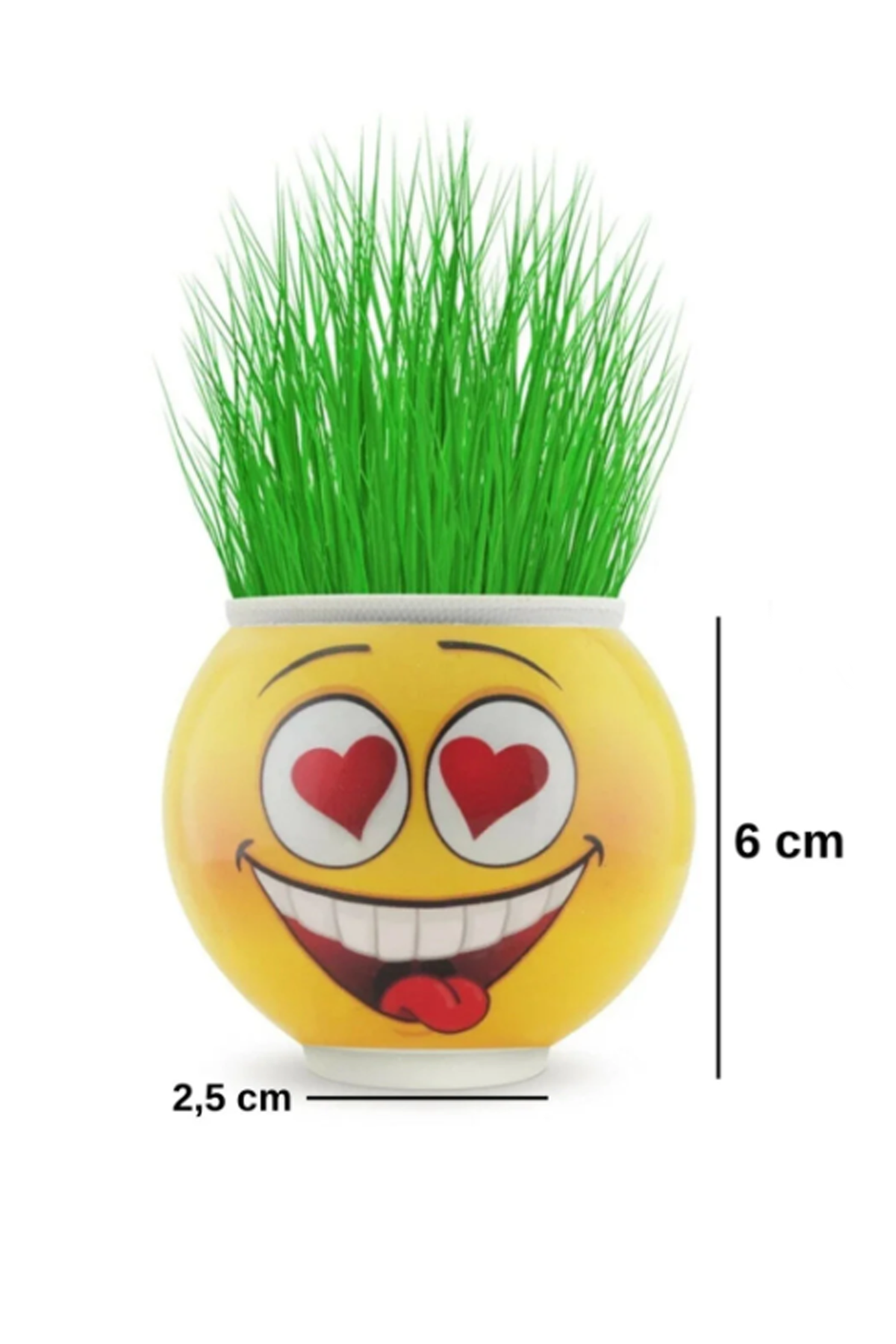 Emoji Figürlü Çim Adam Oyuncak Toprak Tohumlu Dekoratif Saksı Çocuk Eğitici Bitki 6 cm