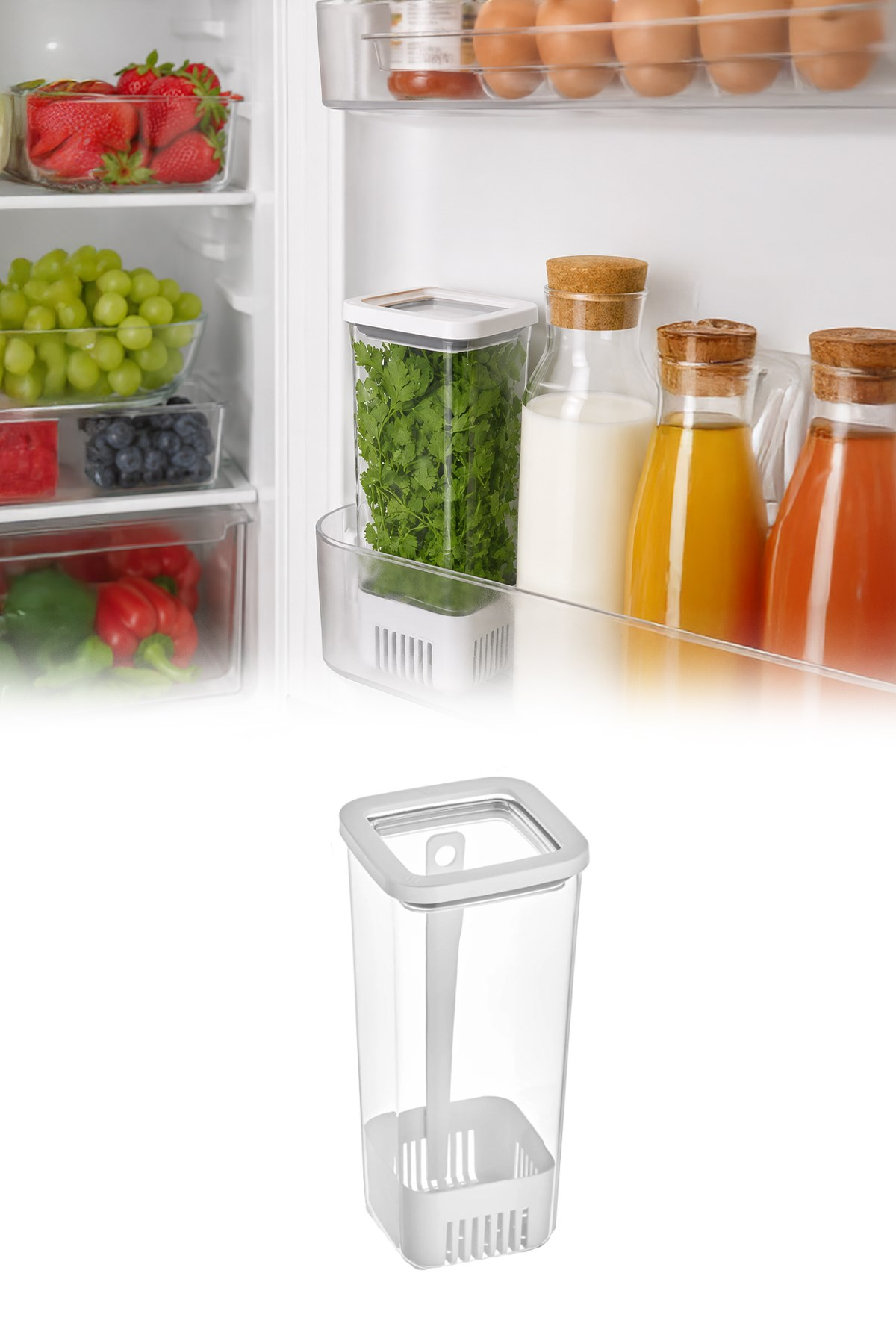 Kare Yeşillik Saklama Kabı 1700 ML Kapaklı Marul Maydanoz Taze Ot Saklama Kutusu VP-007