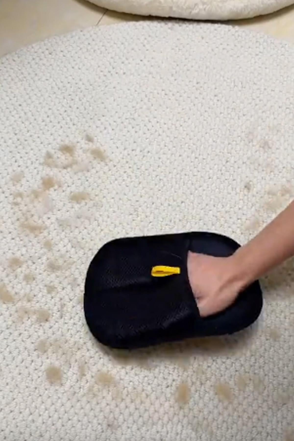 Kedi Köpek Tüy Toplayıcı Eldiven Çift Taraflı Statik Tüy Temizleme Halı Koltuk XL Boy